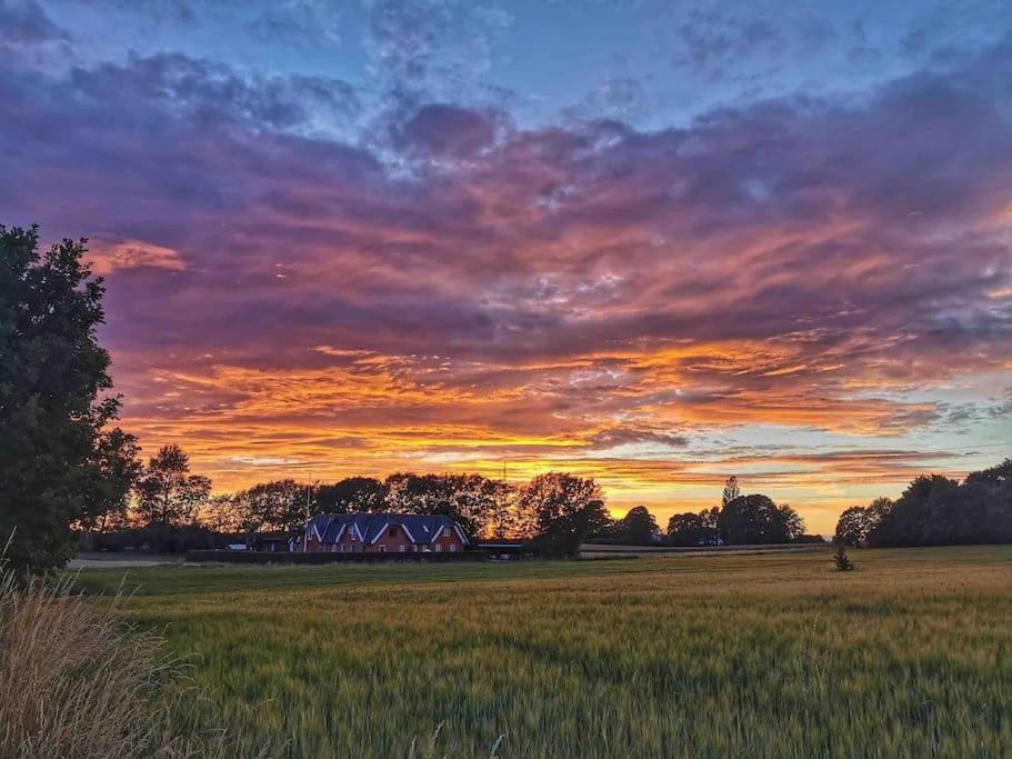 VejbyKongsholmlund. Enjoy The Countryside.公寓 外观 照片