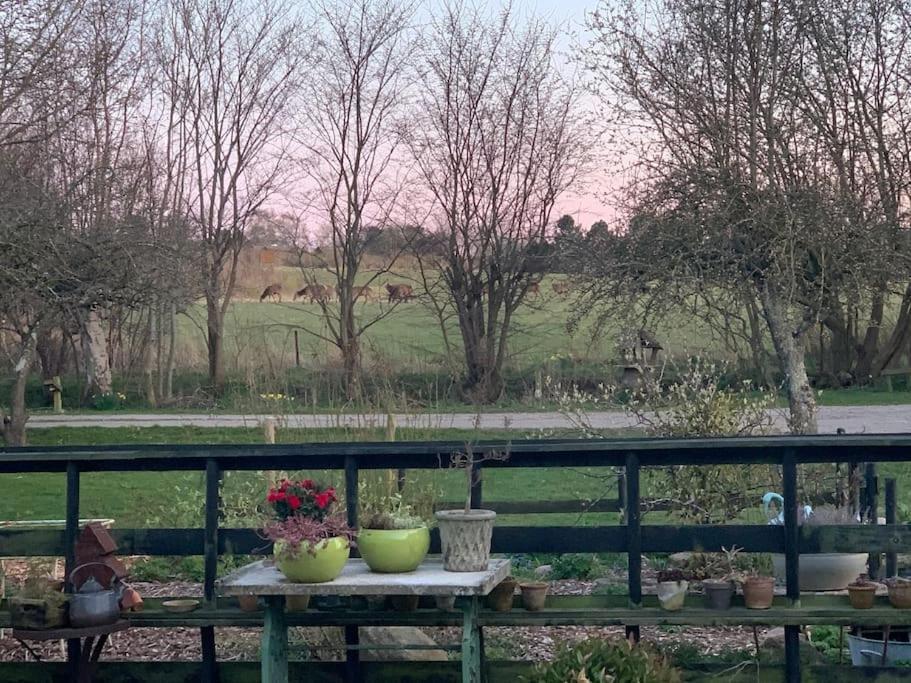 VejbyKongsholmlund. Enjoy The Countryside.公寓 外观 照片